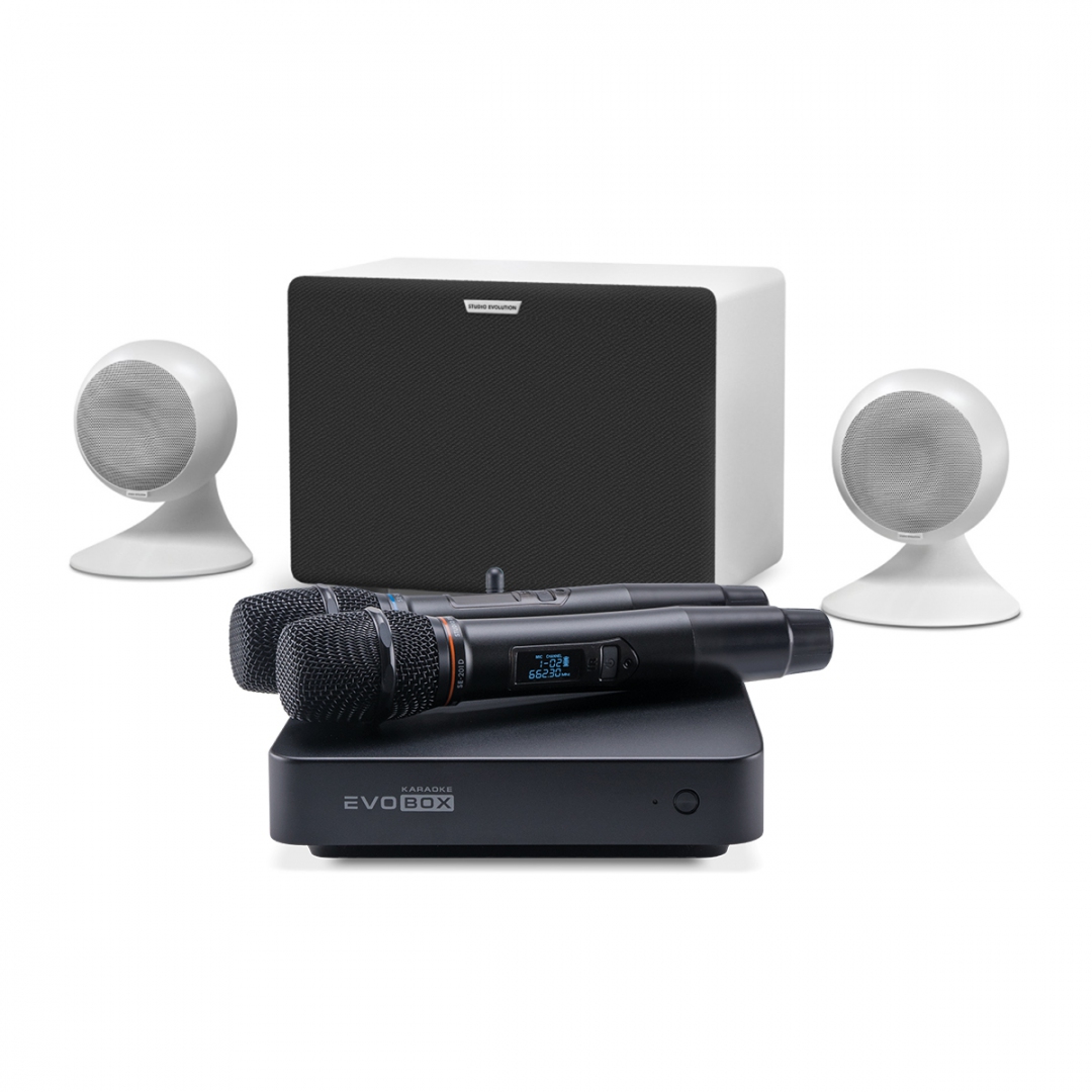 караоке-комплект EVOBOX Classic + EvoSound Sphere 2.1 в Московской области