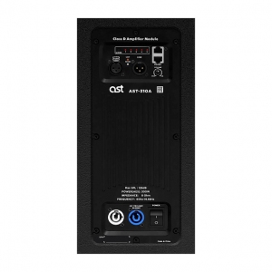 Активная акустическая система AST-310A в Московской области